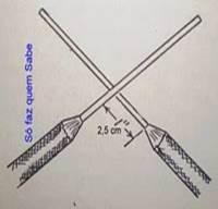 Descri��o: http://1.bp.blogspot.com/_RxDFI5XMGOs/TNhbQlE8GKI/AAAAAAAAAHE/fbLEs46zZ5U/s200/rabodeporco1.jpg